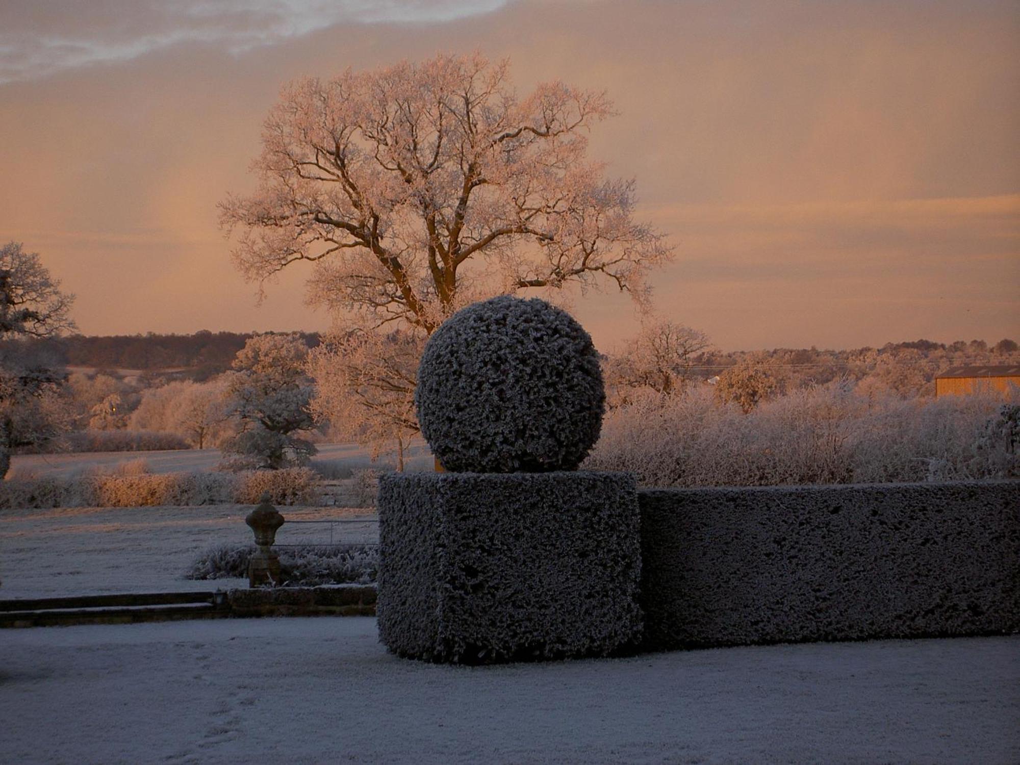 Manor Farm Egerton Bed and Breakfast Malpas  Værelse billede